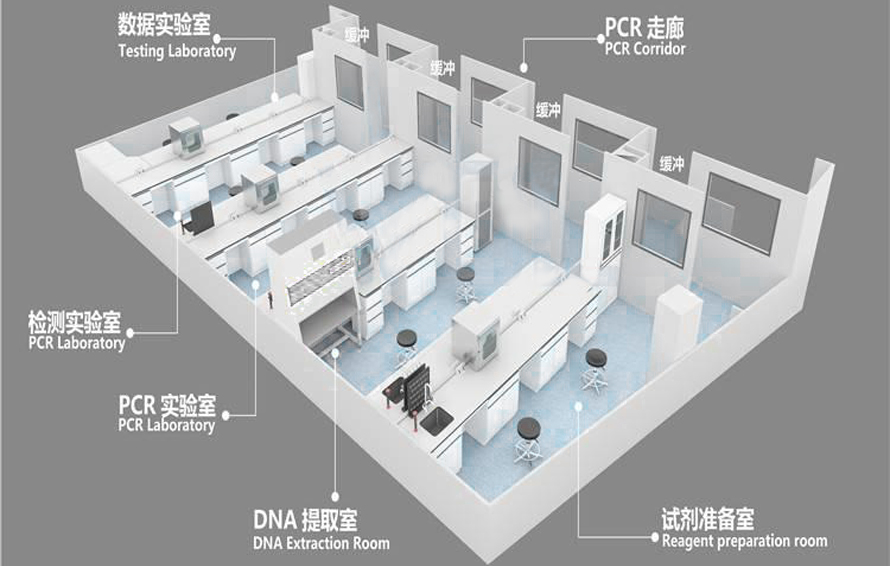 pcr实验室